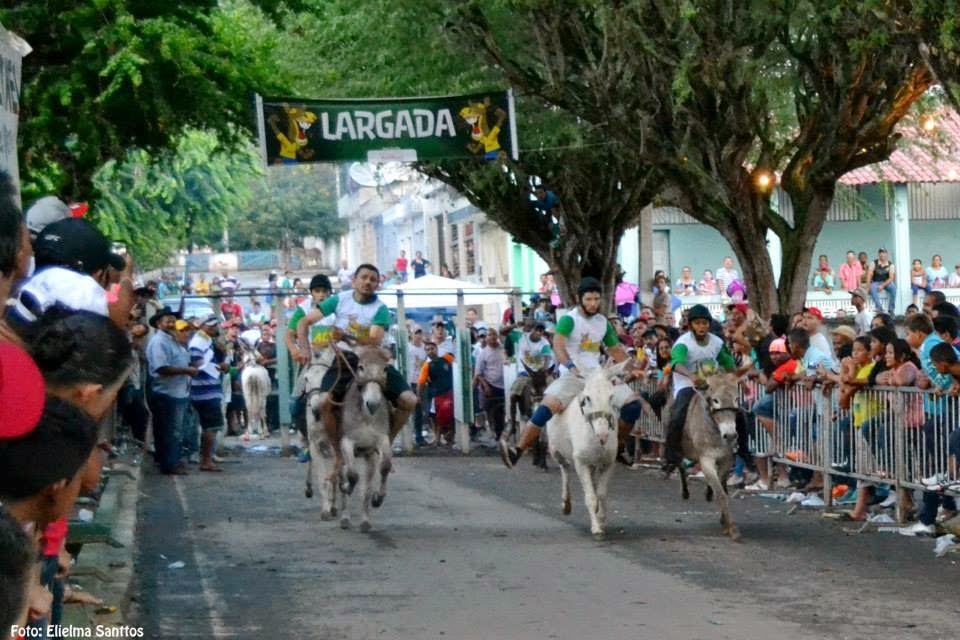 Corrida de jericos panelas pe