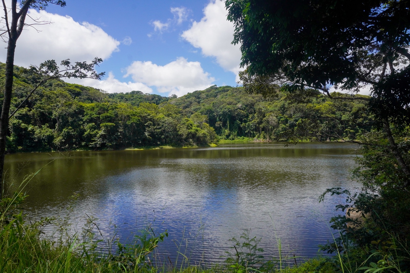 Parqueambiental 