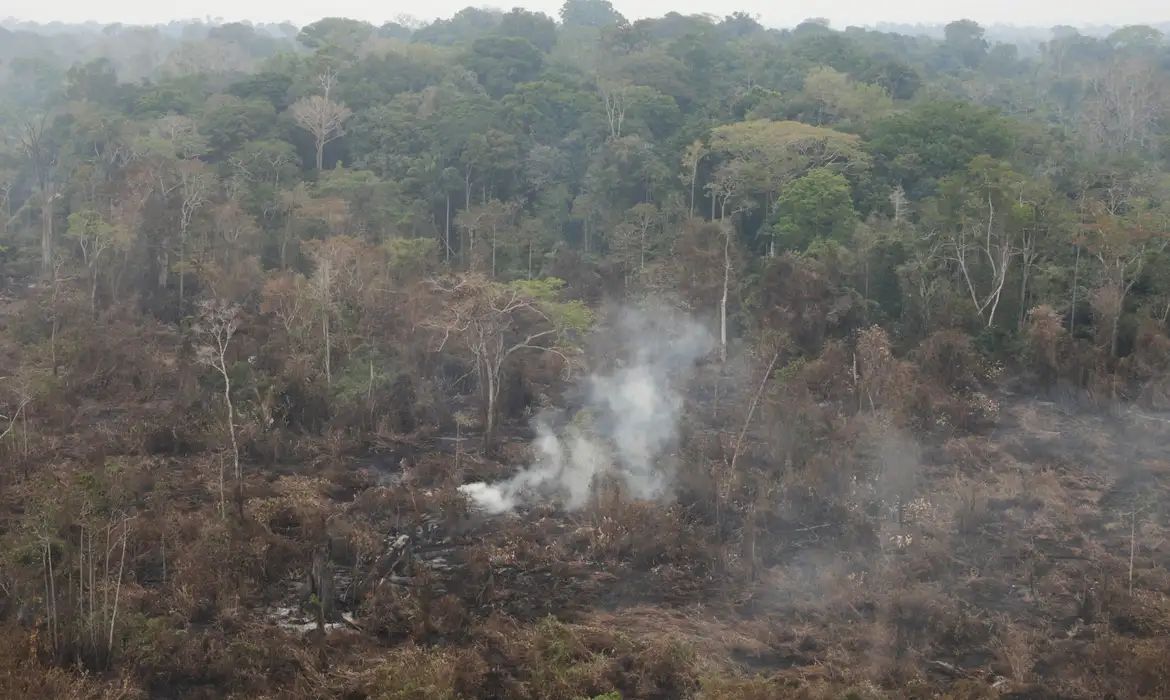 amazoniaqueimada