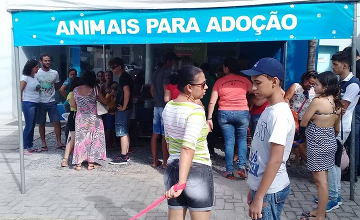 adoção de animais