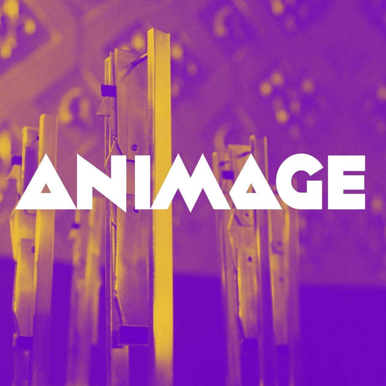 Animage Editais e Afins