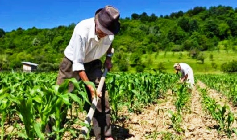 agricultor