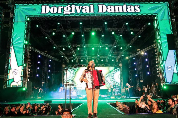 dorgi