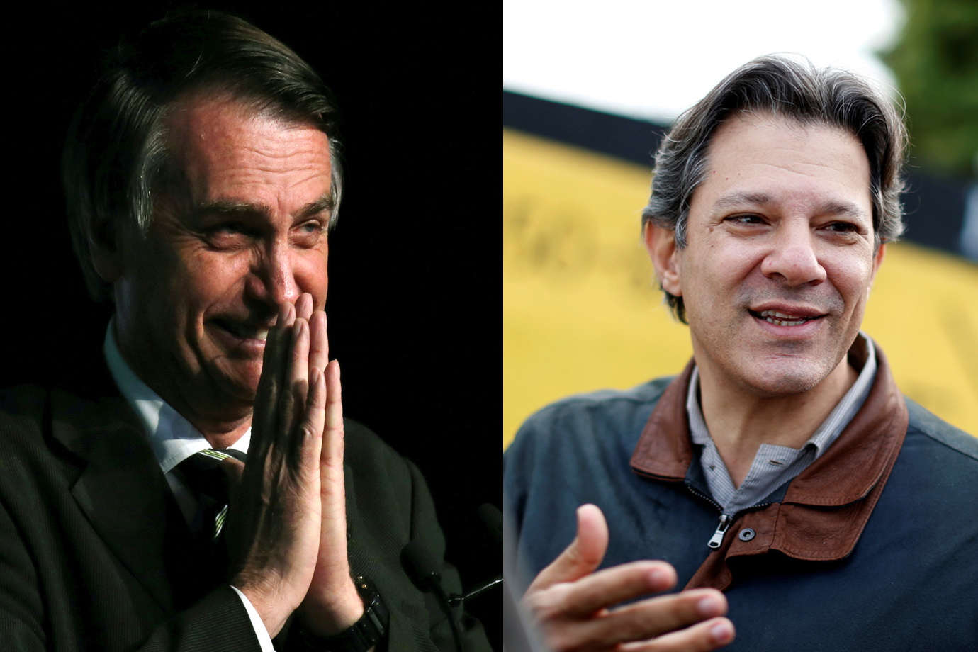 montagem bolsonaro haddad