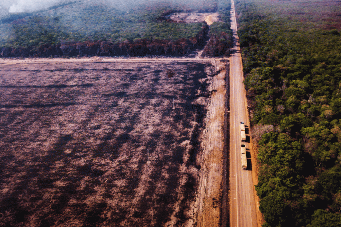 amazonia04