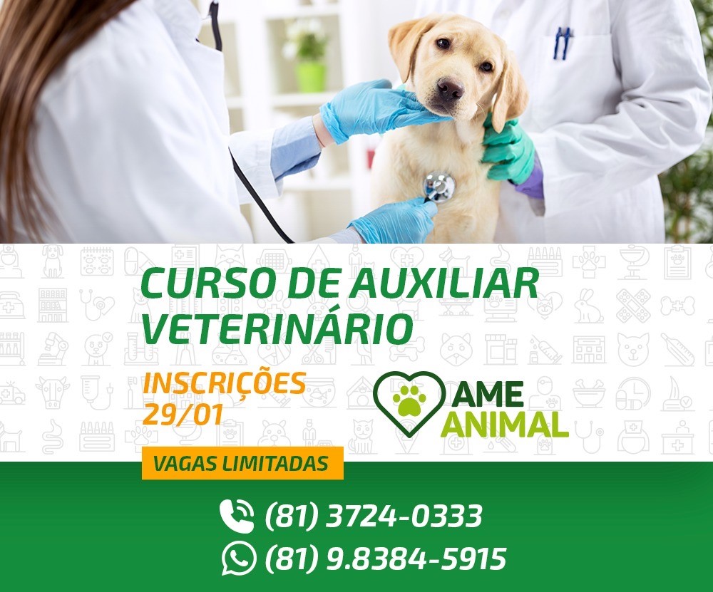 ame animal