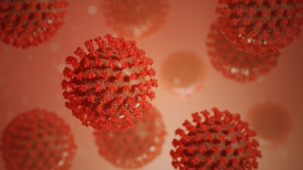 coronavirus covid19 216071 article