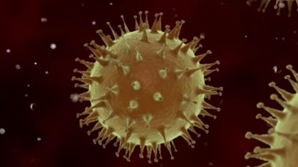coronavirus 8 418x235