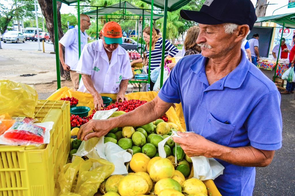feira agri